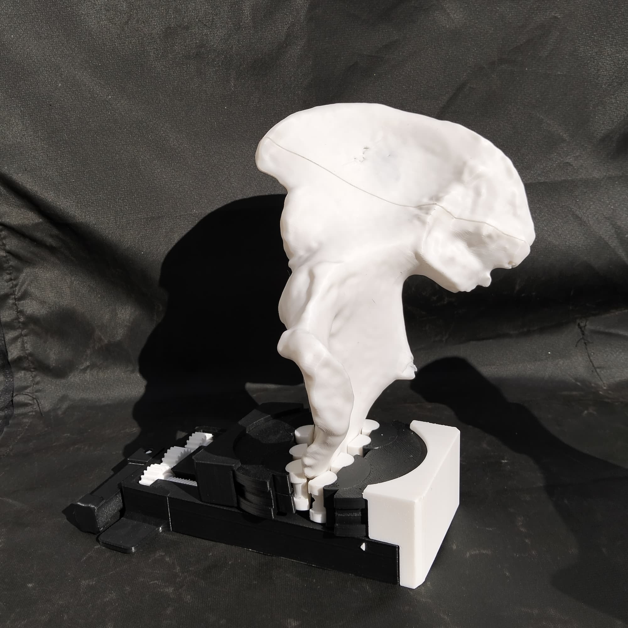 Hemipelvis — modelo físico 3D